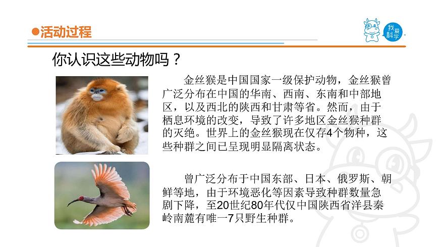 5.《我國的珍稀動物》課件 青島版(五四制)小學(xué)科學(xué)四上第2頁