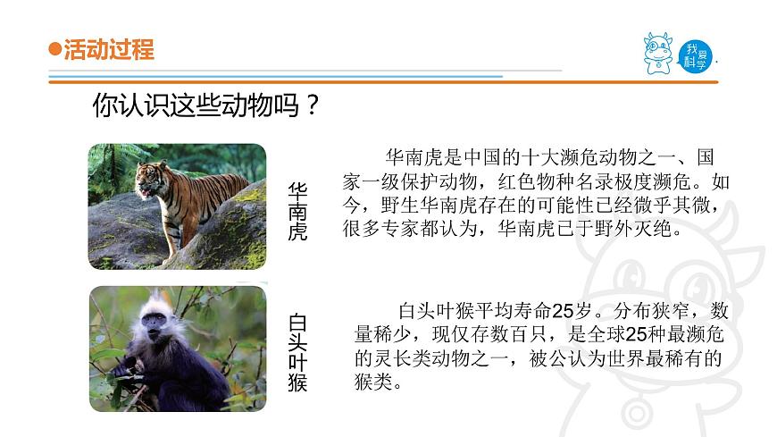 5.《我國的珍稀動物》課件 青島版(五四制)小學(xué)科學(xué)四上第3頁