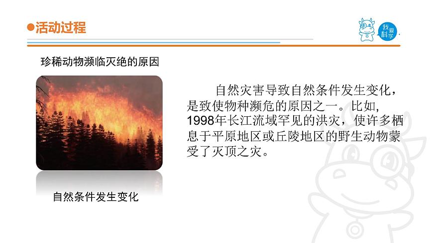 5.《我國的珍稀動物》課件 青島版(五四制)小學(xué)科學(xué)四上第8頁
