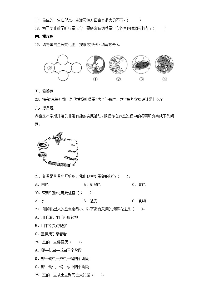 2021-2022学年度苏教版科学四年级下册10养昆虫同步练习题第2页