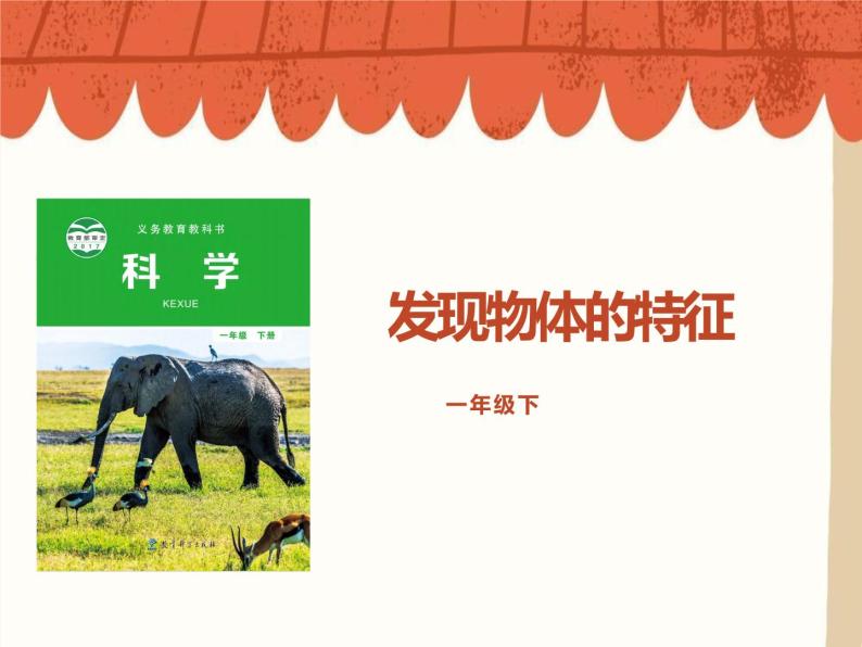 教科版科学一年级1.1《发现物体的特征》课件PPT+教案+观察记录单01