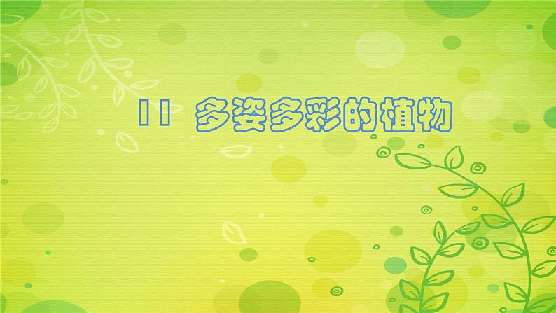 苏教版科学一年级下册第11课多姿多彩的植物课件19张ppt第1页