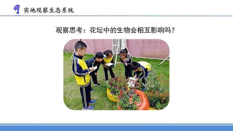 2.7.做个生态瓶(课件) 科学六年级下册第3页