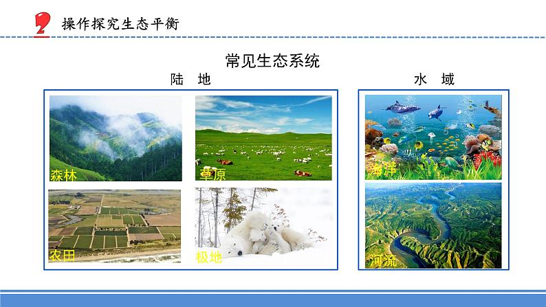 2.7.做个生态瓶(课件) 科学六年级下册第6页