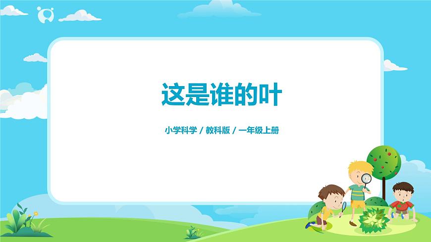 1.1.4《這是誰的葉》課件第1頁