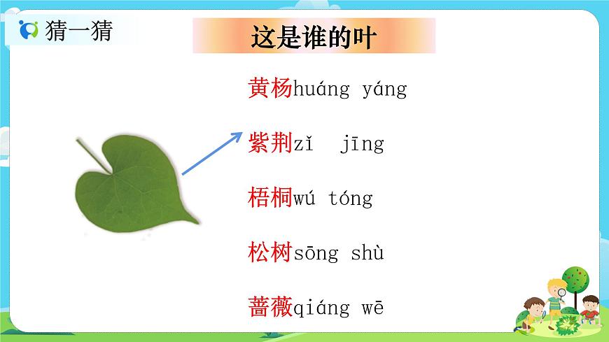 1.1.4《這是誰的葉》課件第5頁