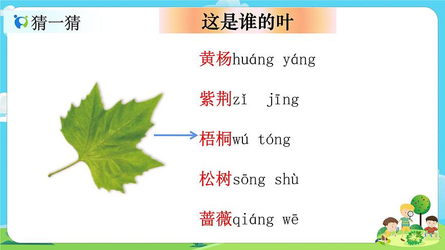 1.1.4《這是誰的葉》課件第7頁