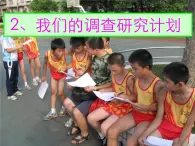 2.2《我们的调查研究计划》课件 大象版小学科学六下