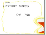 4.4《金点子行动》课件 大象版小学科学六下1