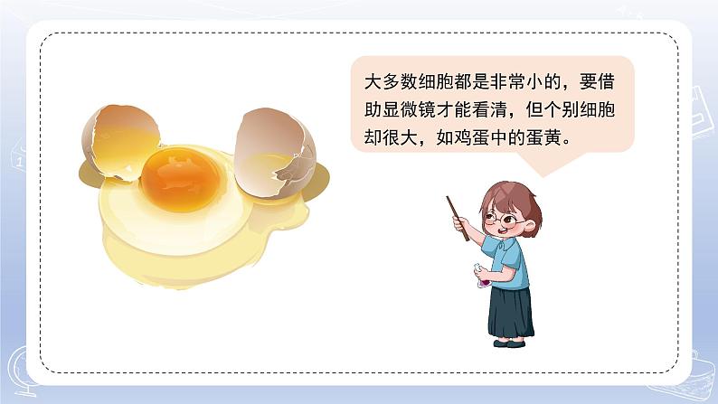 小学科学苏教版五年级下册第一单元第1课《搭建生命体的“积木”》课件3(2022新版)05
