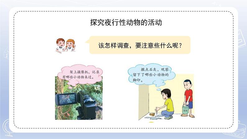 小学科学苏教版五年级下册第三单元第11课《昼夜对动物的影响》课件3(2022新版)第6页