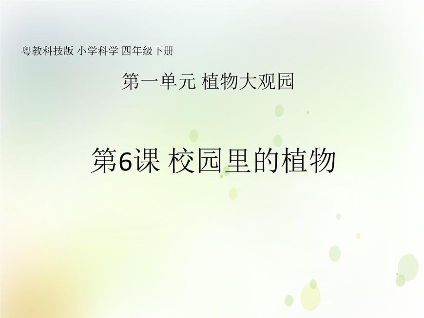 第6課《校園里的植物》教學(xué)課件 粵教版小學(xué)科學(xué)四下第1頁