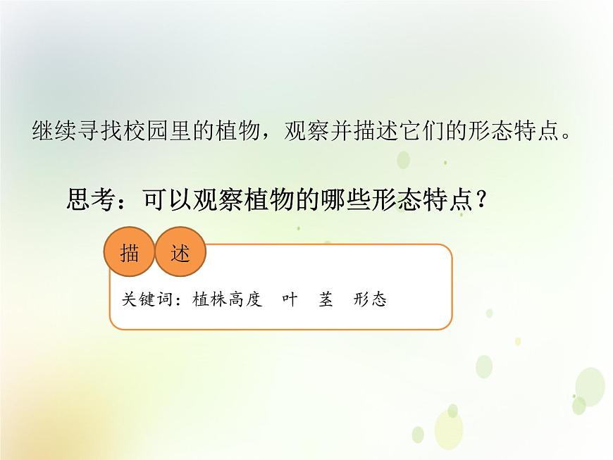 第6課《校園里的植物》教學(xué)課件 粵教版小學(xué)科學(xué)四下第8頁