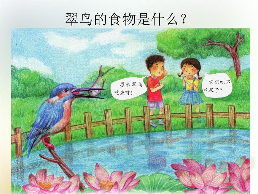 第10課《動物需要食物》教學(xué)課件 粵教版小學(xué)科學(xué)四下第2頁