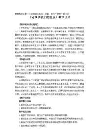 教科版 (2017)二年級下冊7.磁鐵和我們的生活教案設(shè)計