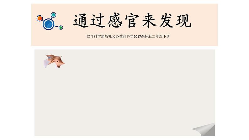 教科版义务教育版小学科学二年级下册 2.通过感官来发现 课件第1页