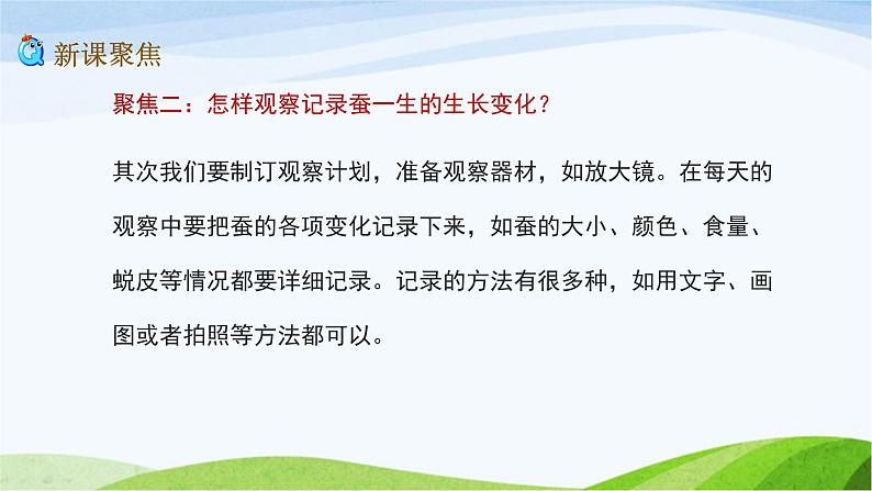 教科版三年级下册科学2.1 迎接蚕宝宝的到来(课件)05