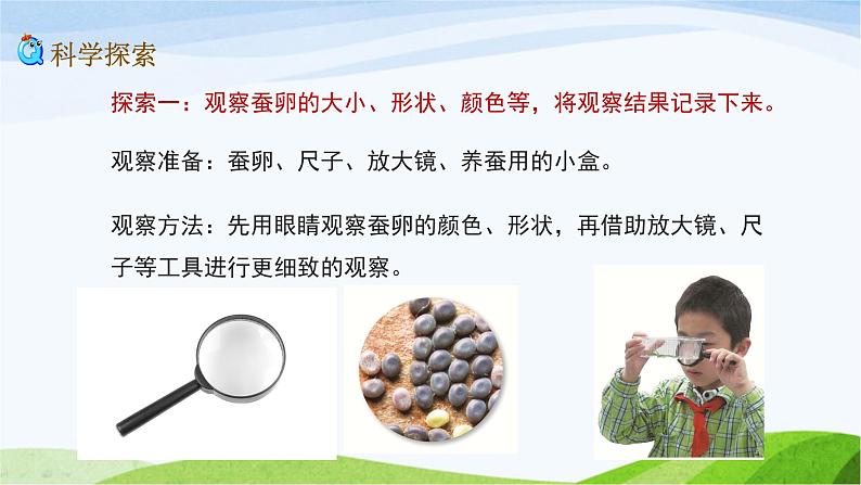 教科版三年级下册科学2.1 迎接蚕宝宝的到来(课件)06