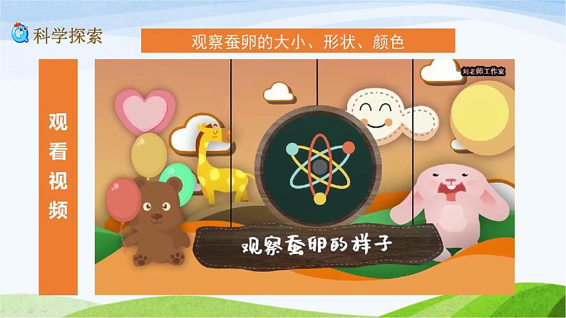 教科版三年级下册科学2.1 迎接蚕宝宝的到来(课件)07