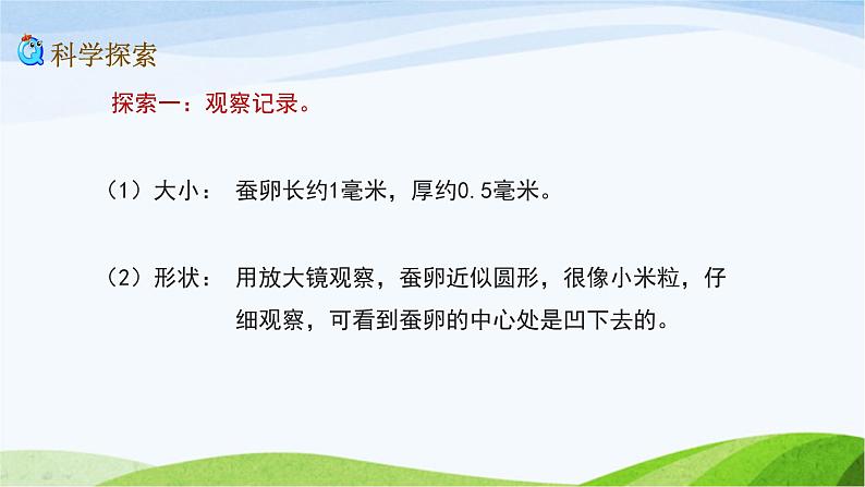 教科版三年级下册科学2.1 迎接蚕宝宝的到来(课件)08