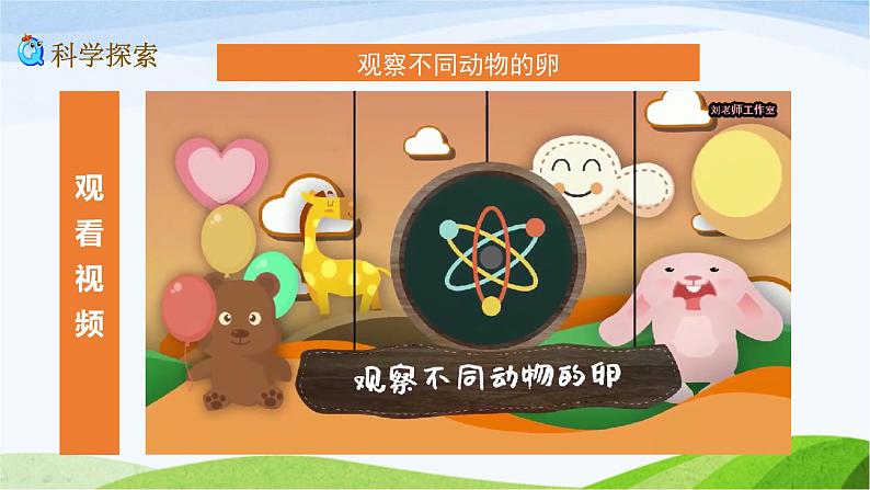 教科版三年级下册科学2.2 认识其他动物的卵(课件)06