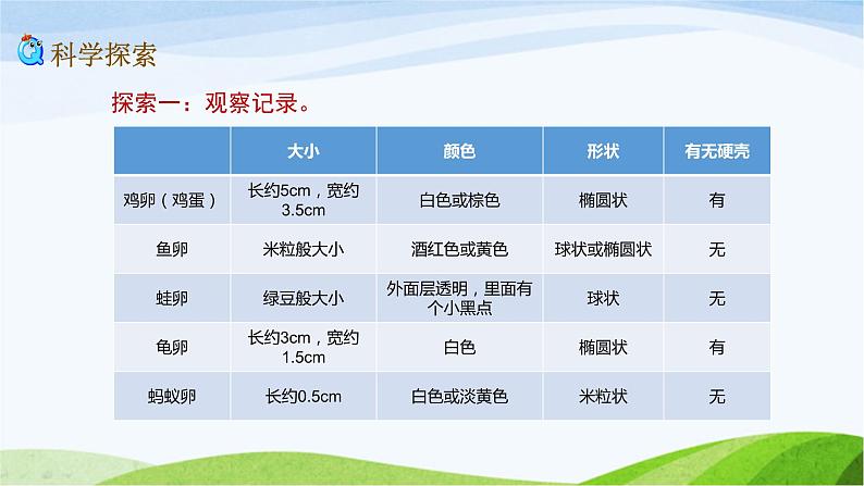 教科版三年级下册科学2.2 认识其他动物的卵(课件)07