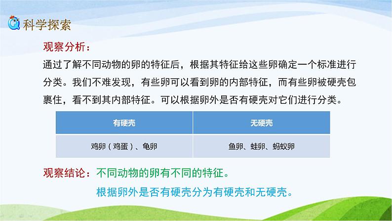 教科版三年级下册科学2.2 认识其他动物的卵(课件)08