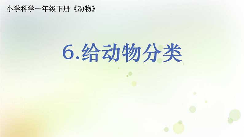 2-6 给动物分类 课件+教案 教科版小学科学一年级下册01