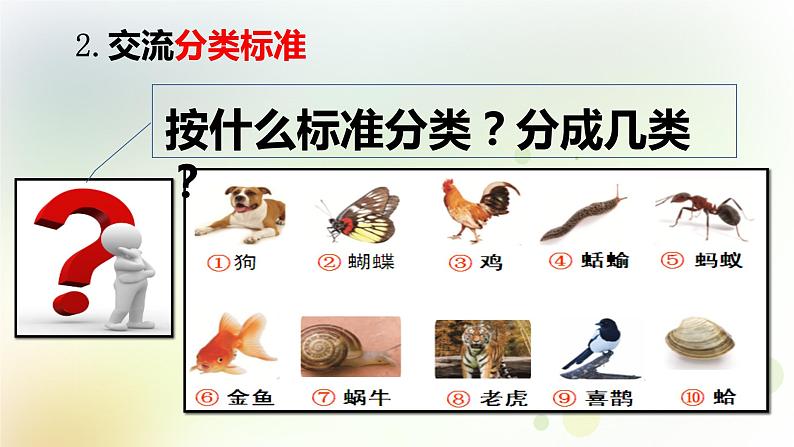 2-6 给动物分类 课件+教案 教科版小学科学一年级下册05