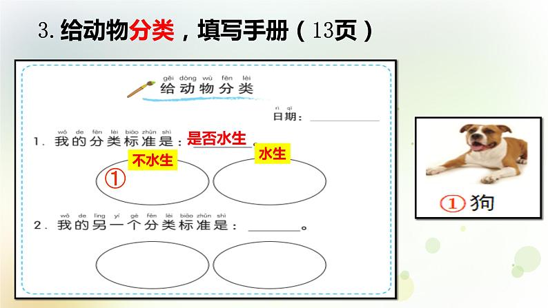 2-6 给动物分类 课件+教案 教科版小学科学一年级下册07