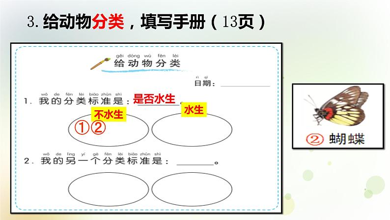 2-6 给动物分类 课件+教案 教科版小学科学一年级下册08
