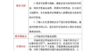 小学科学青岛版 (五四制)五年级下册19 生物的启示教案