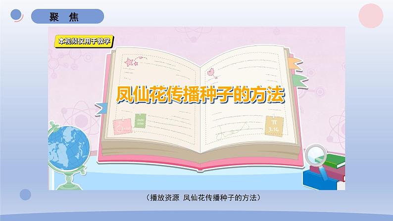 小学科学教科版四年级下册第一单元第7课《种子的传播》课件20(2022新版)03
