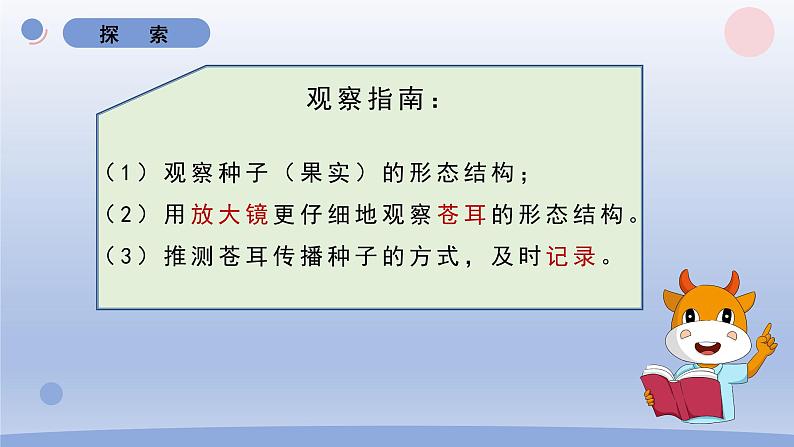 小学科学教科版四年级下册第一单元第7课《种子的传播》课件20(2022新版)06