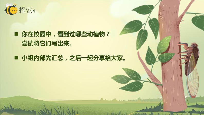 2.1校园生物大搜索(课件)教科版(2017)科学六年级下册06