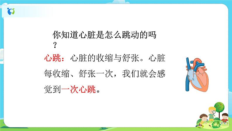 5.4.3《心脏和血液》课件第4页