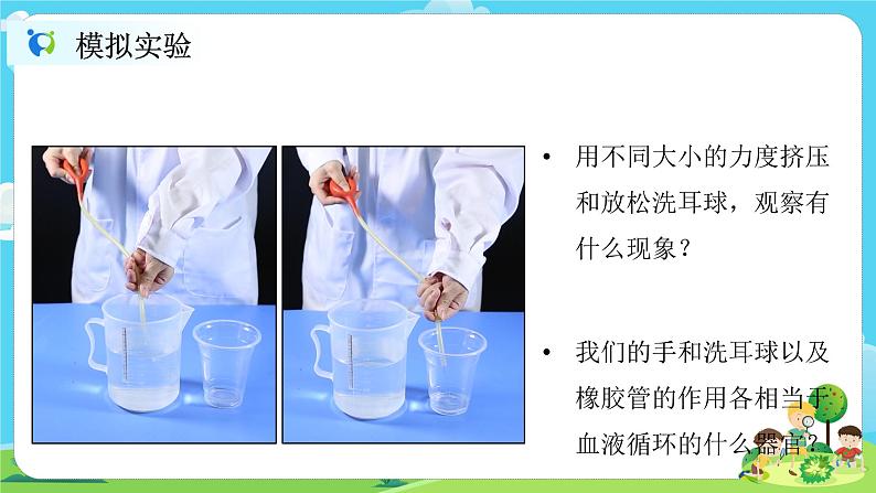 5.4.3《心脏和血液》课件第7页