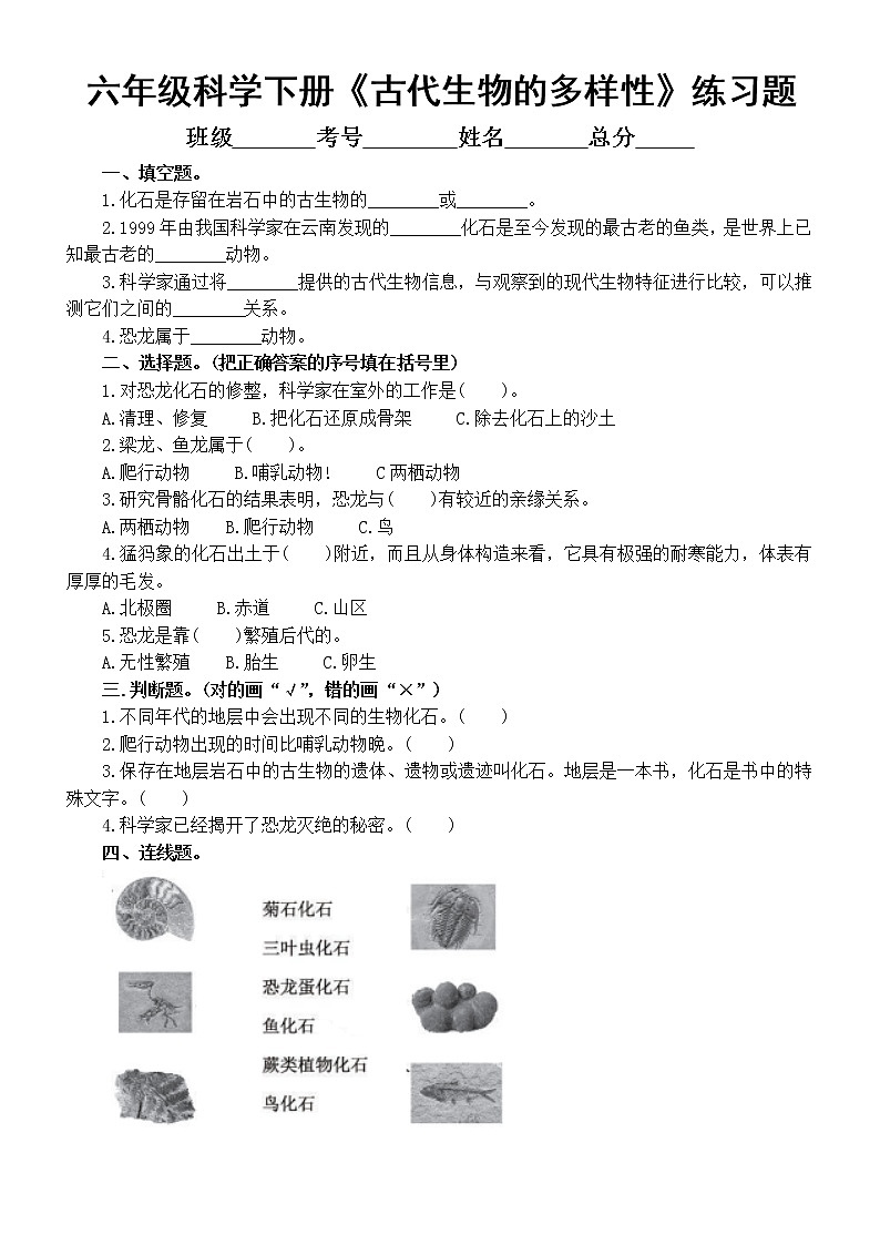 小学科学教科版六年级下册第二单元第6课《古代生物的多样性》课堂练习题(附参考答案)(2022新版)第1页