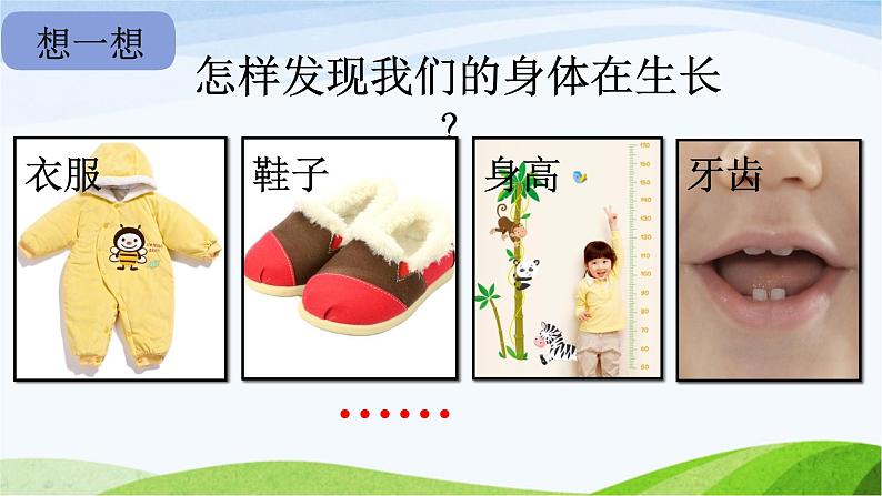 小学科学教科版二年级下册2.2.5 发现生长课件02