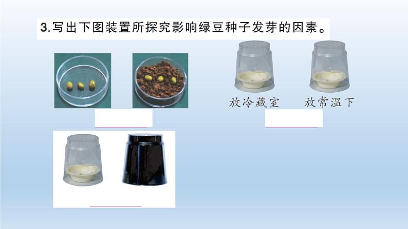 小学科学教科版五年级下册第一单元《生物与环境》期末复习课件(2022新版)03