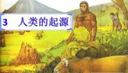 科学六年级下册一 生物的进化3 人类的起源教学ppt课件