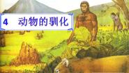 2020-2021学年4 动物的驯化教学课件ppt