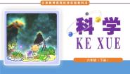 小学科学湘教版六年级下册4 分享我们的探究果实教学ppt课件
