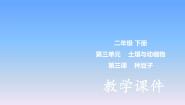 冀人版 (2017)二年级下册土壤与动植物9 种豆子教案配套课件ppt