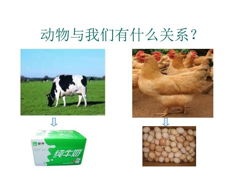 4.8生物多样性的意义2课件PPT第8页