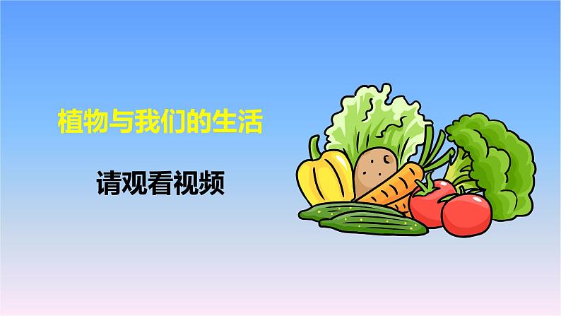 冀人版三下第1单元 第3课-植物与我们的生活 课件第3页