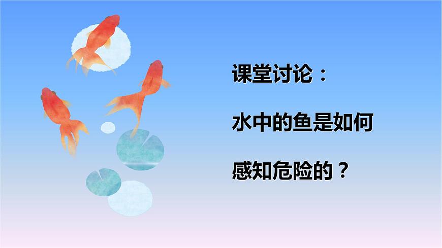 冀人版三下第2單元 第9課-動物的特殊感官 課件第2頁