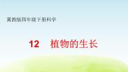 四年级下册12 植物的生长教学ppt课件