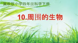 《周围的生物》公开课教学PPT课件 冀人版小学科学四下