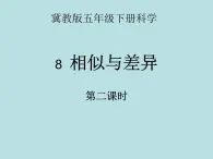 《相似与差异》公开课教学PPT课件1 冀人版科学五下